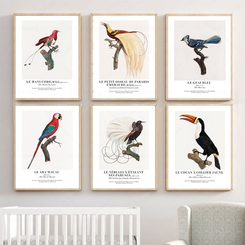 Vintage Paradise Bird Wall Art - огляд і ціна Furniture Paradise & Hardware Ghaziabad Reviews