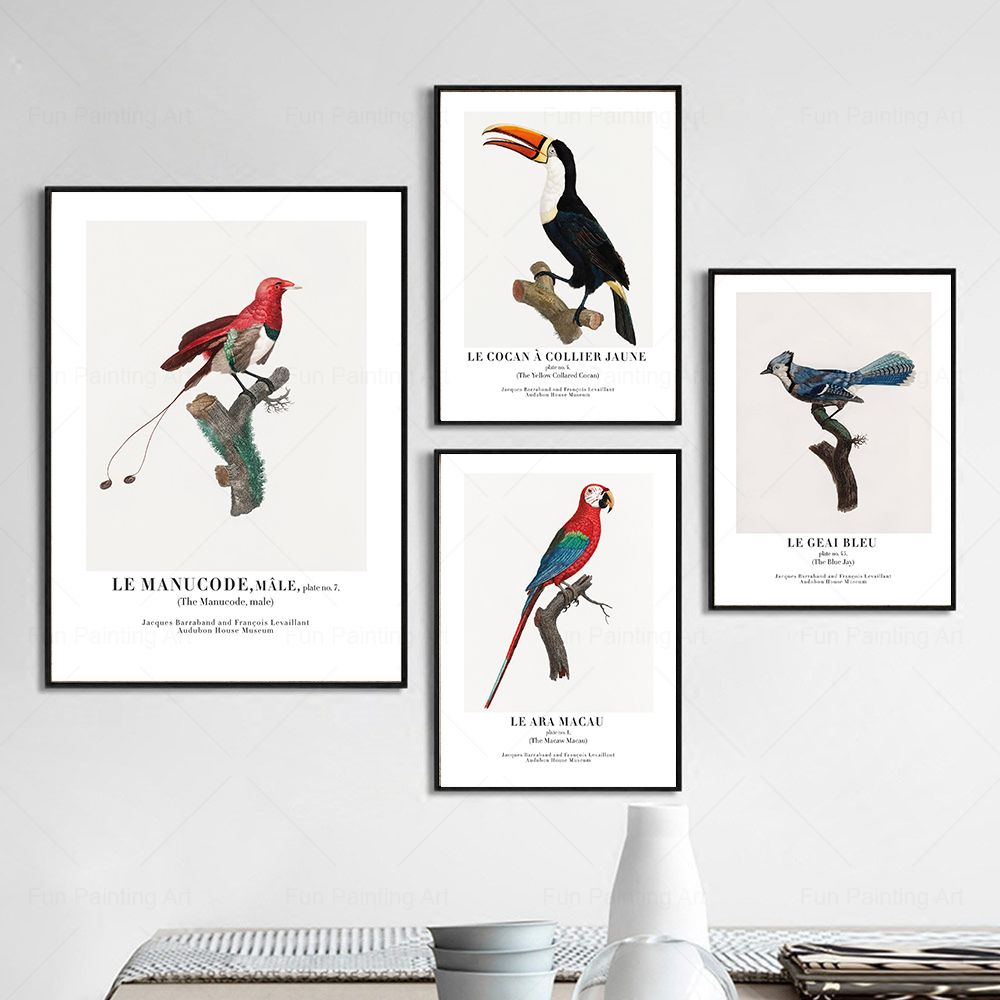 Vintage Paradise Bird Wall Art - огляд і ціна Furniture Paradise & Hardware Ghaziabad Reviews