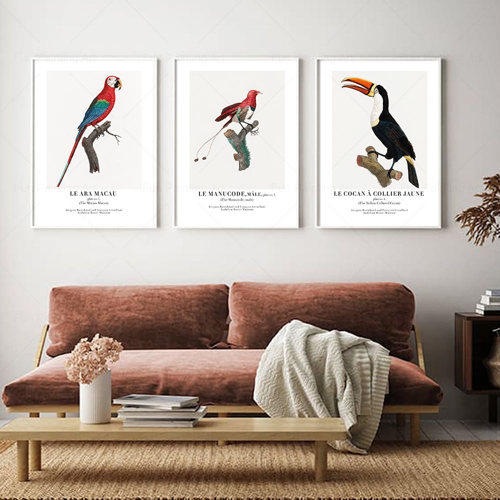 Vintage Paradise Bird Wall Art - огляд і ціна Furniture Paradise & Hardware Ghaziabad Reviews