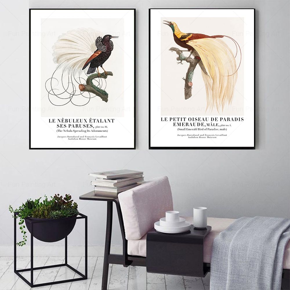 Vintage Paradise Bird Wall Art - огляд і ціна Furniture Paradise & Hardware Ghaziabad Reviews