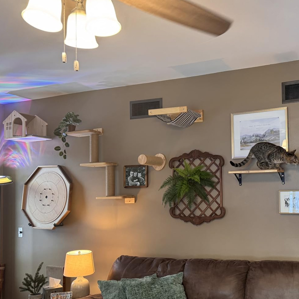 Cat Furniture Solid Wooden Sus - огляд і ціна Furniture Paradise & Hardware Ghaziabad Reviews