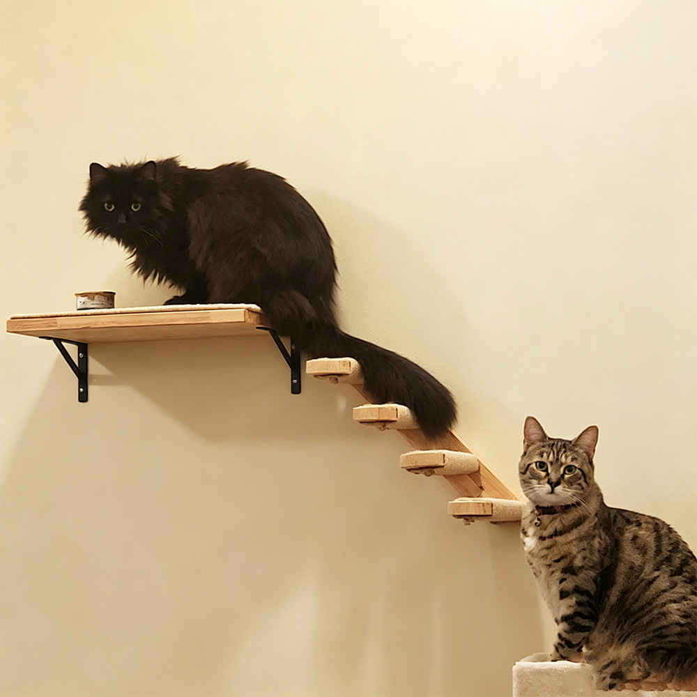 Cat Furniture Solid Wooden Sus - огляд і ціна Furniture Paradise & Hardware Ghaziabad Reviews